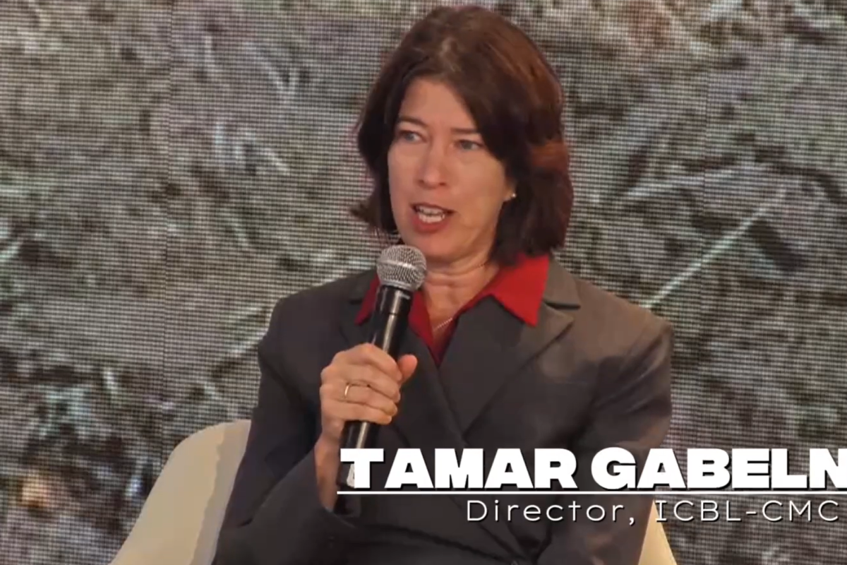 Tamar Gabelnick in SDG Media Zone 2025